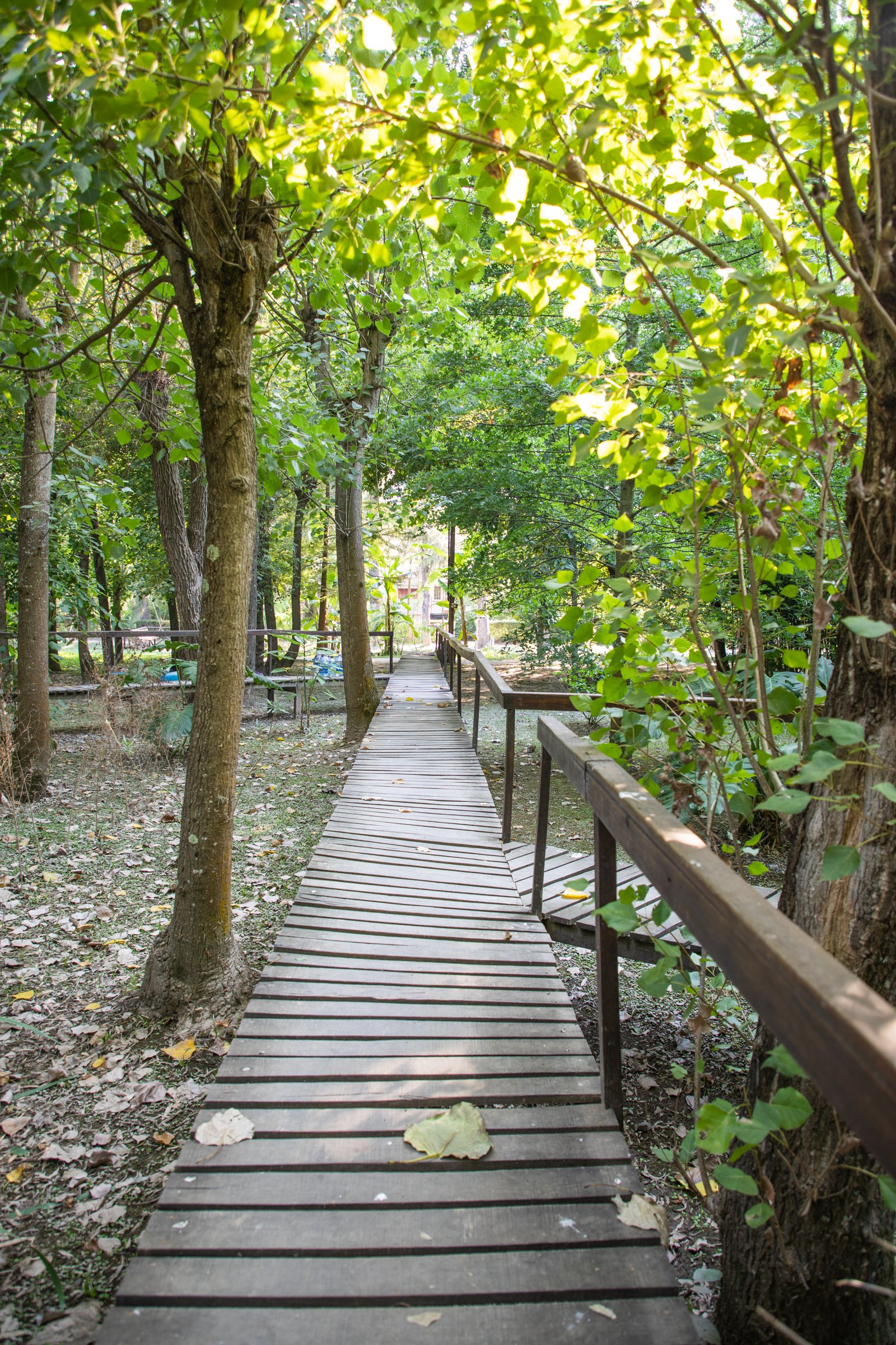 Alojamiento en caba&ntilde;as y modalidad hostel en Mayuwasi