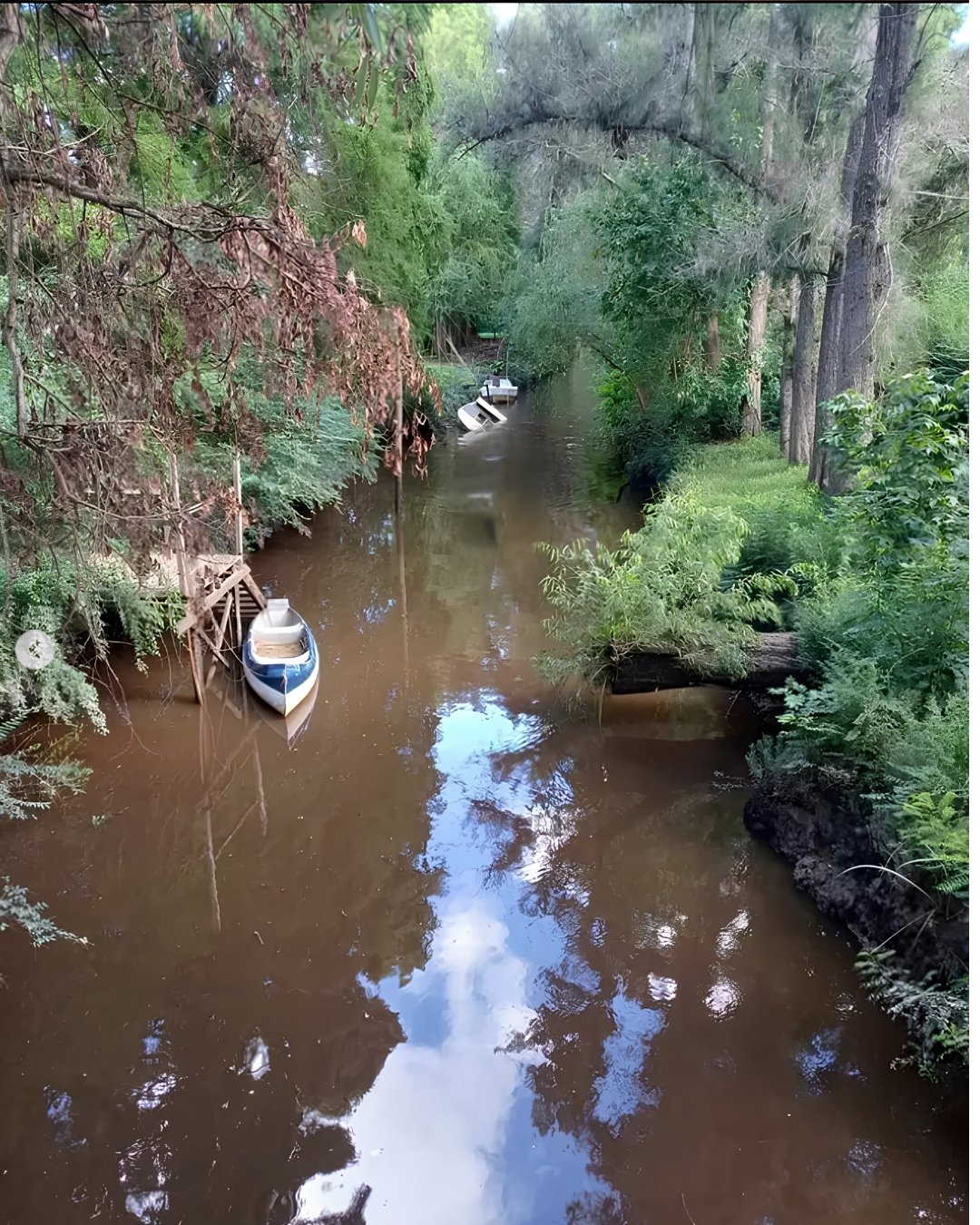 Arroyo Reyes en el Delta de Tigre, entorno de Tinku-Wasi